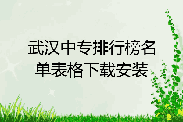 武汉中专排行榜名单表格下载安装