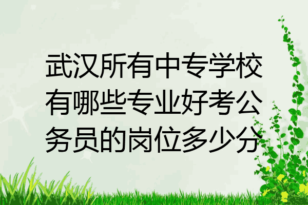 武汉所有中专学校有哪些专业好考公务员的岗位多少分