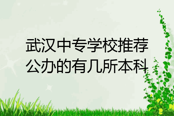 武汉中专学校推荐公办的有几所本科