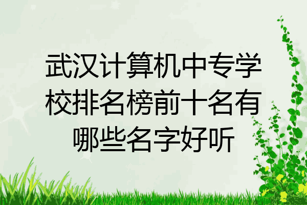 武汉计算机中专学校排名榜前十名有哪些名字好听