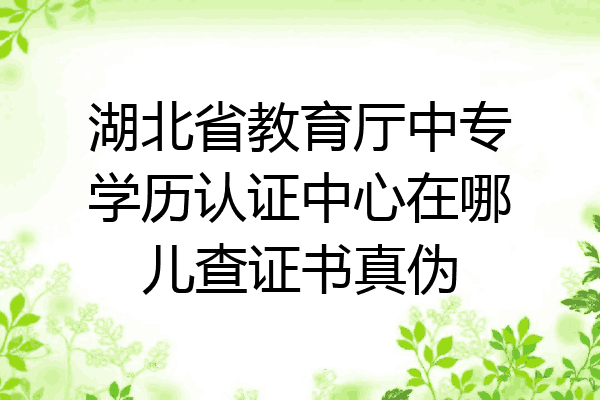 湖北省教育厅中专学历认证中心在哪儿查证书真伪
