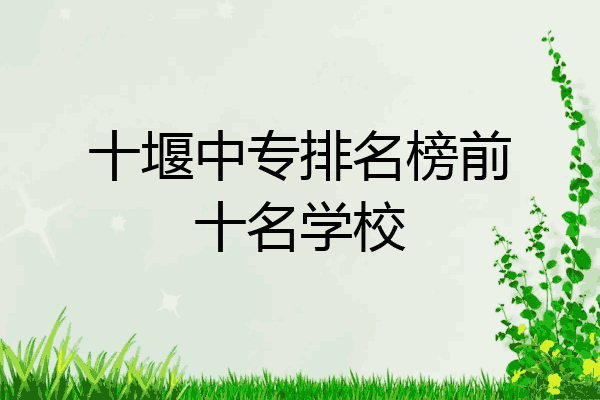 十堰中专排名榜前十名学校