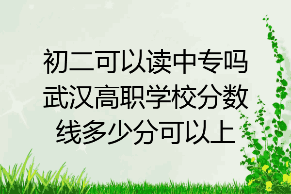 初二可以读中专吗武汉高职学校分数线多少分可以上
