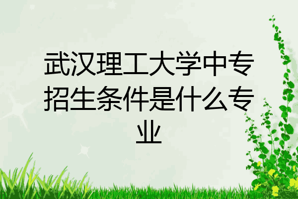 武汉理工大学中专招生条件是什么专业