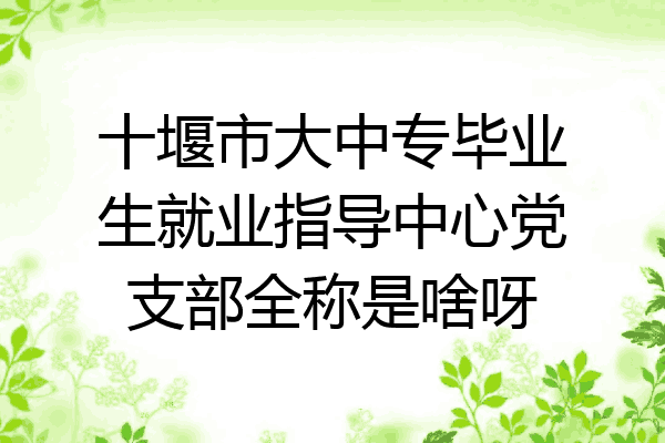 十堰市大中专毕业生就业指导中心党支部全称是啥呀