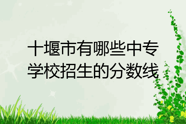 十堰市有哪些中专学校招生的分数线