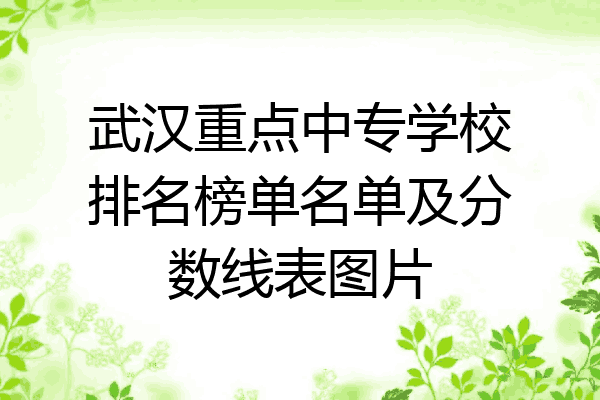 武汉重点中专学校排名榜单名单及分数线表图片