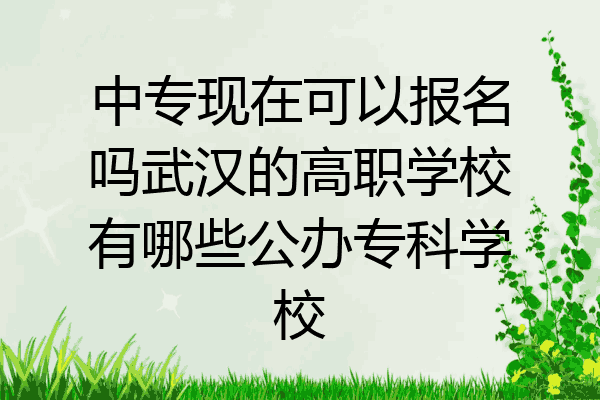 中专现在可以报名吗武汉的高职学校有哪些公办专科学校
