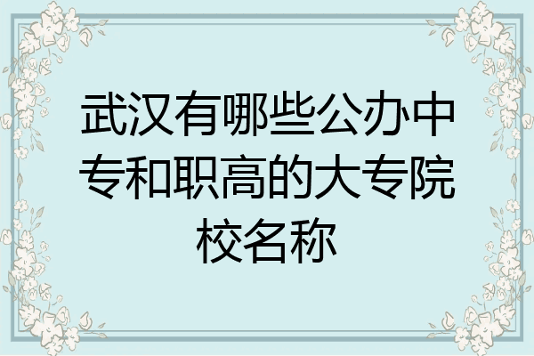 武汉有哪些公办中专和职高的大专院校名称