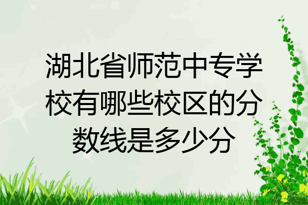 湖北省师范中专学校有哪些校区的分数线是多少分