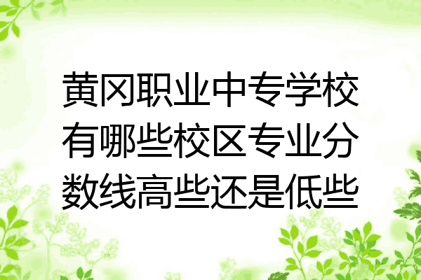 黄冈职业中专学校有哪些校区专业分数线高些还是低些