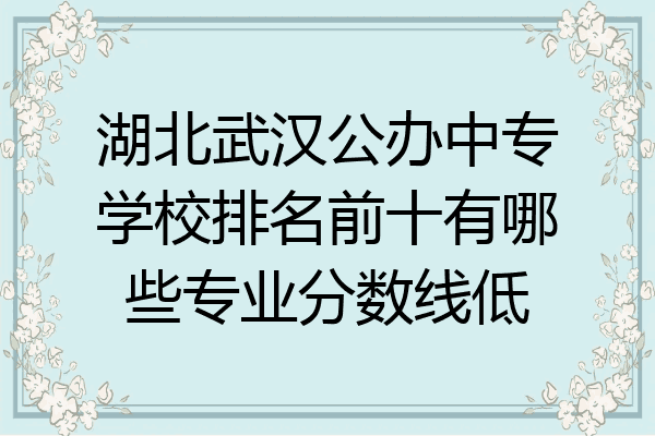 湖北武汉公办中专学校排名前十有哪些专业分数线低