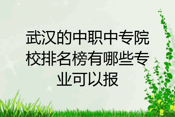 武汉的中职中专院校排名榜有哪些专业可以报