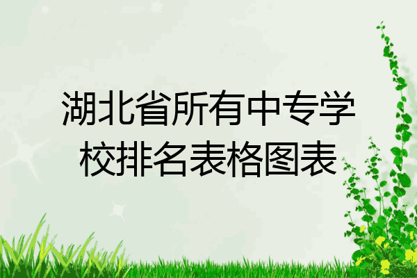 湖北省所有中专学校排名表格图表