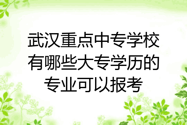 武汉重点中专学校有哪些大专学历的专业可以报考