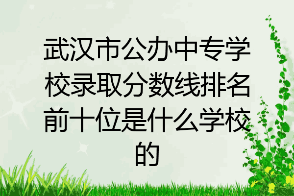 武汉市公办中专学校录取分数线排名前十位是什么学校的
