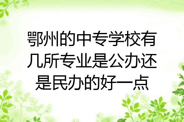 鄂州的中专学校有几所专业是公办还是民办的好一点
