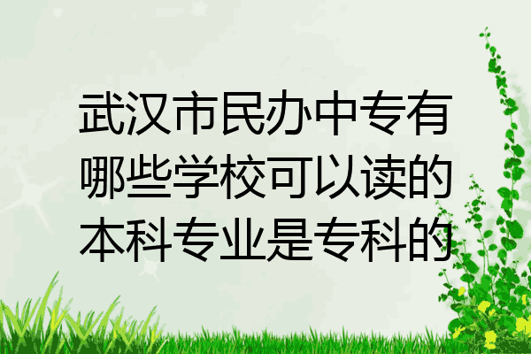 武汉市民办中专有哪些学校可以读的本科专业是专科的