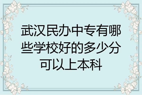 武汉民办中专有哪些学校好的多少分可以上本科