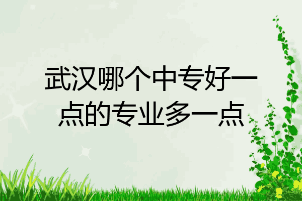 武汉哪个中专好一点的专业多一点