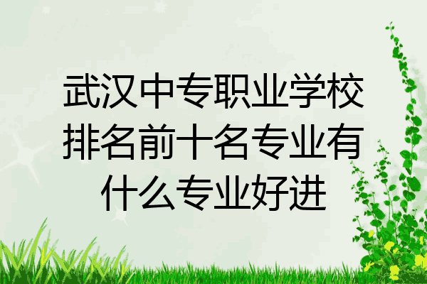 武汉中专职业学校排名前十名专业有什么专业好进