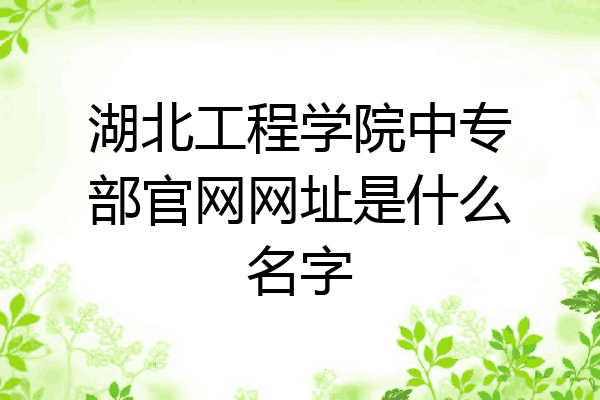 湖北工程学院中专部官网网址是什么名字