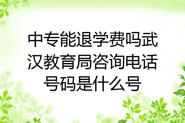 中专能退学费吗武汉教育局咨询电话号码是什么号