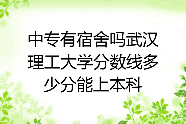 中专有宿舍吗武汉理工大学分数线多少分能上本科