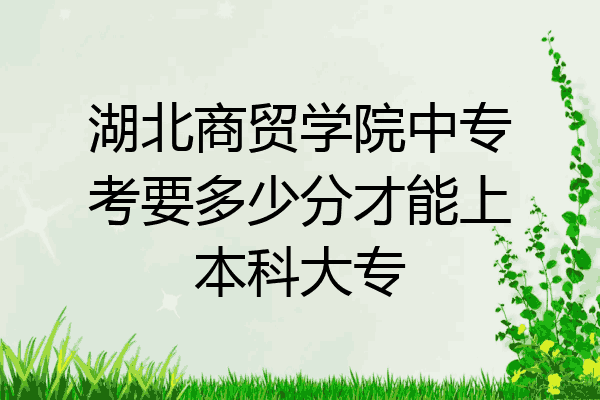 湖北商贸学院中专考要多少分才能上本科大专