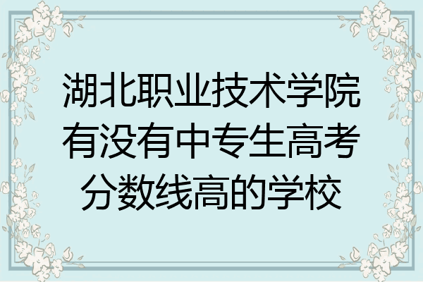 湖北职业技术学院有没有中专生高考分数线高的学校