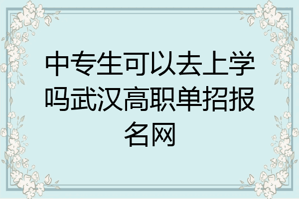 中专生可以去上学吗武汉高职单招报名网