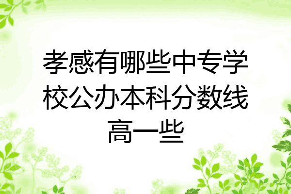 孝感有哪些中专学校公办本科分数线高一些