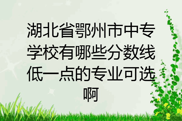 湖北省鄂州市中专学校有哪些分数线低一点的专业可选啊