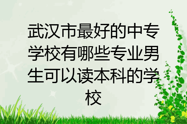 武汉市最好的中专学校有哪些专业男生可以读本科的学校