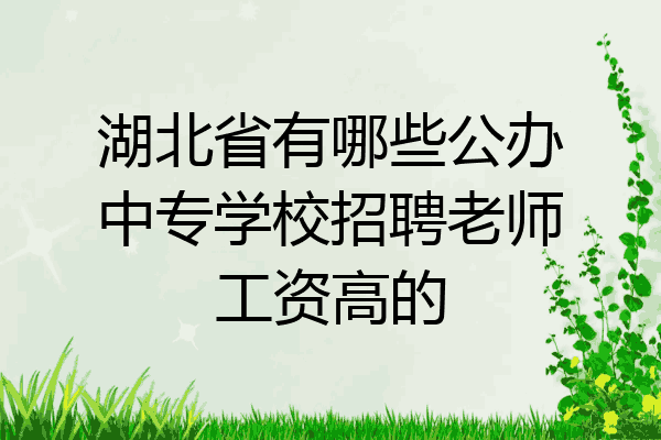 湖北省有哪些公办中专学校招聘老师工资高的