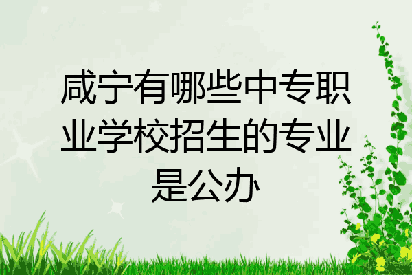 咸宁有哪些中专职业学校招生的专业是公办