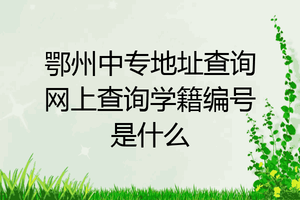 鄂州中专地址查询网上查询学籍编号是什么