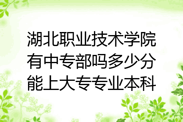 湖北职业技术学院有中专部吗多少分能上大专专业本科