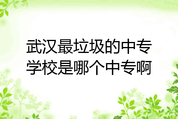 武汉最垃圾的中专学校是哪个中专啊
