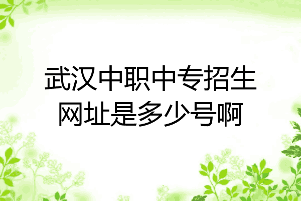 武汉中职中专招生网址是多少号啊
