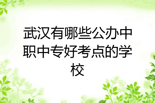 武汉有哪些公办中职中专好考点的学校