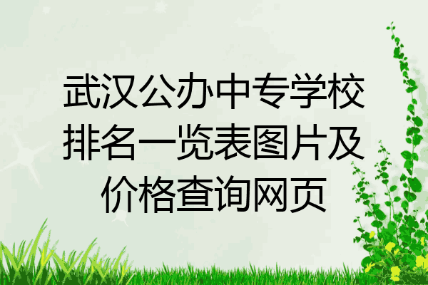 武汉公办中专学校排名一览表图片及价格查询网页
