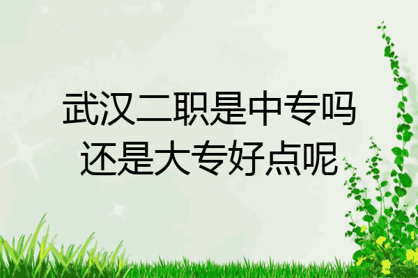 武汉二职是中专吗还是大专好点呢