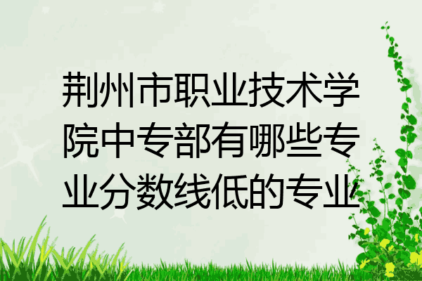 荆州市职业技术学院中专部有哪些专业分数线低的专业