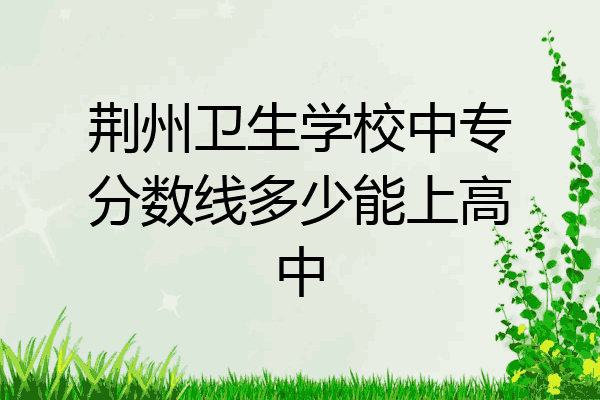荆州卫生学校中专分数线多少能上高中