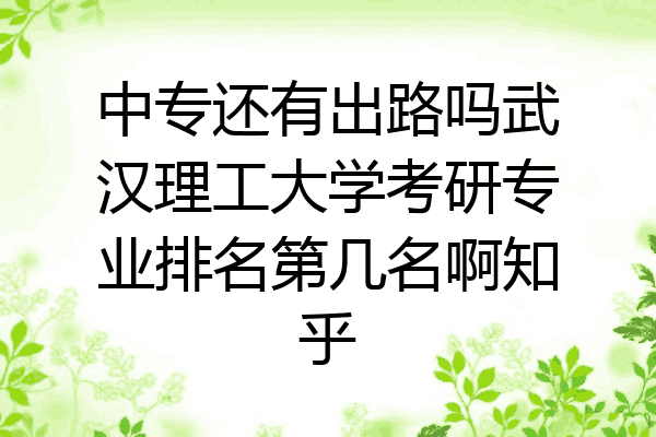 中专还有出路吗武汉理工大学考研专业排名第几名啊知乎