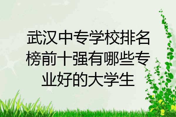 武汉中专学校排名榜前十强有哪些专业好的大学生