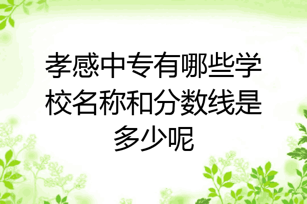 孝感中专有哪些学校名称和分数线是多少呢