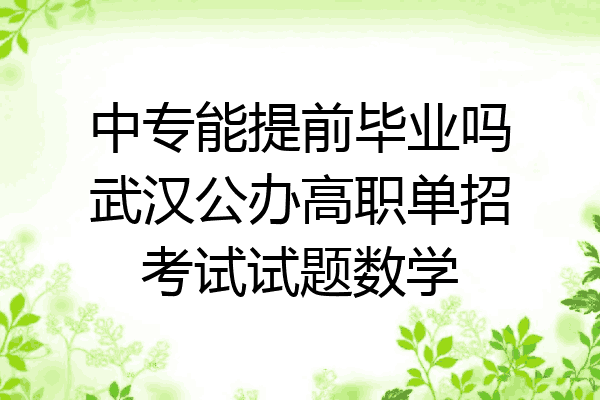 中专能提前毕业吗武汉公办高职单招考试试题数学