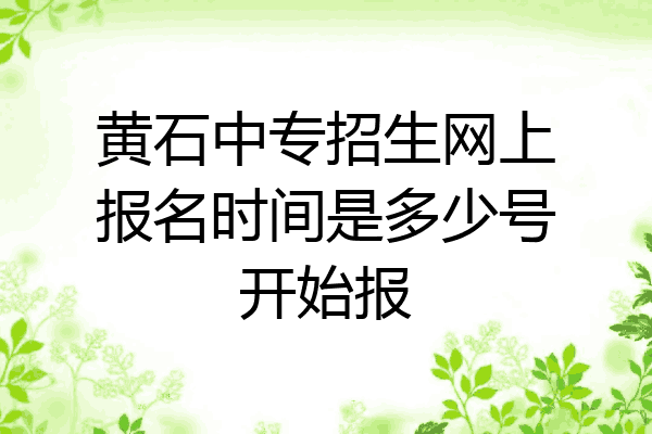 黄石中专招生网上报名时间是多少号开始报